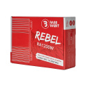 Bass Habit Rebel RA1200W, monoblock