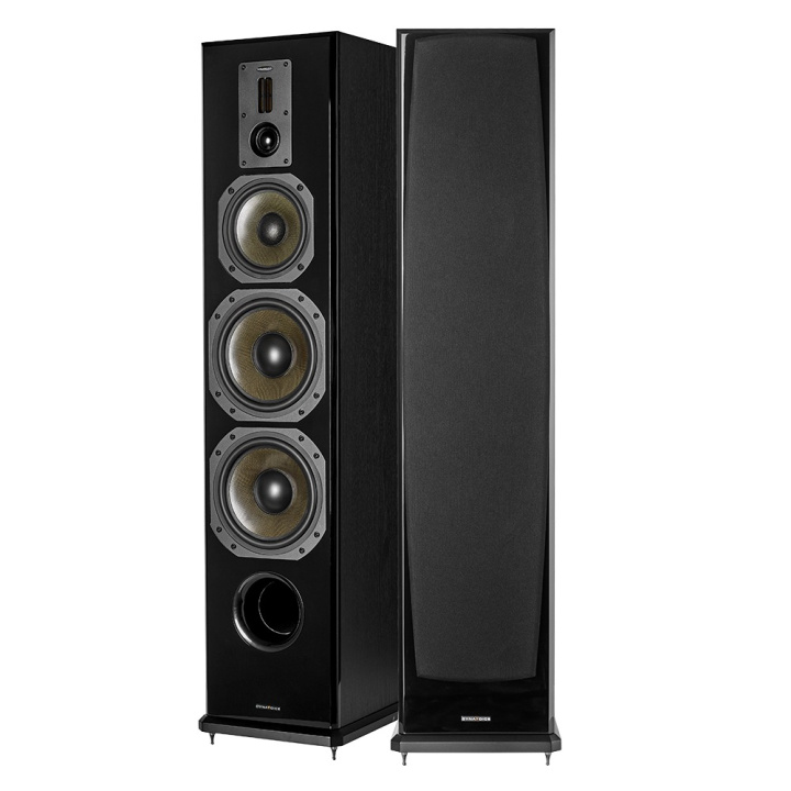 Dynavoice Definition DF-8II golvhögtalare, svart i gruppen Hemmaljud / Högtalare / Golvhögtalare hos CD Bilradio (990DF8IIB)