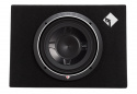 Rockford Fosgate P3S-1x10 & PBR300X1