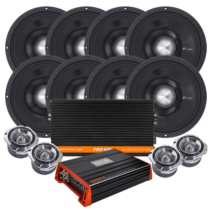 B2 Audio RAGE8P & B2 Audio RAGE T4 SPL-Paket, Large i gruppen hos CD Bilradio (SETRAGE8PPSP2500)